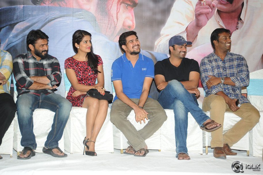 Rowdy-Fellow-Movie-Success-Meet